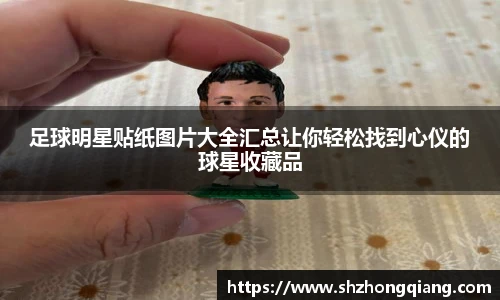星空体育